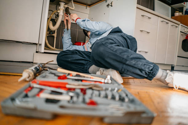 Best Clogged Drain Plumber  in Carnesville, GA