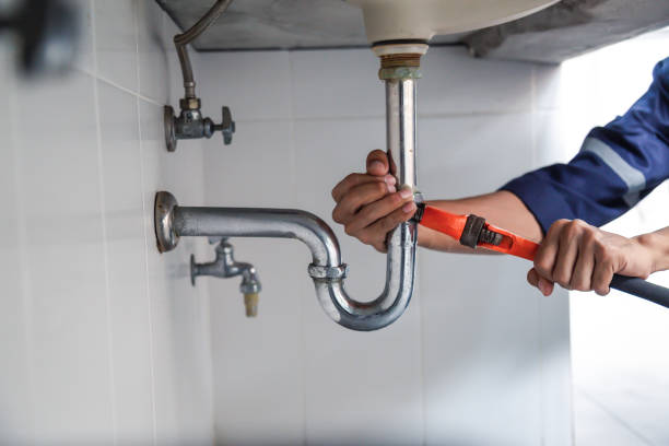 Best Septic Systems  in Carnesville, GA